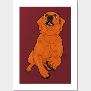 Fox Red Lab Posters and Art